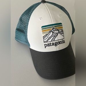 Patagonia Line Logo Ridge LoPro Trucker Hat